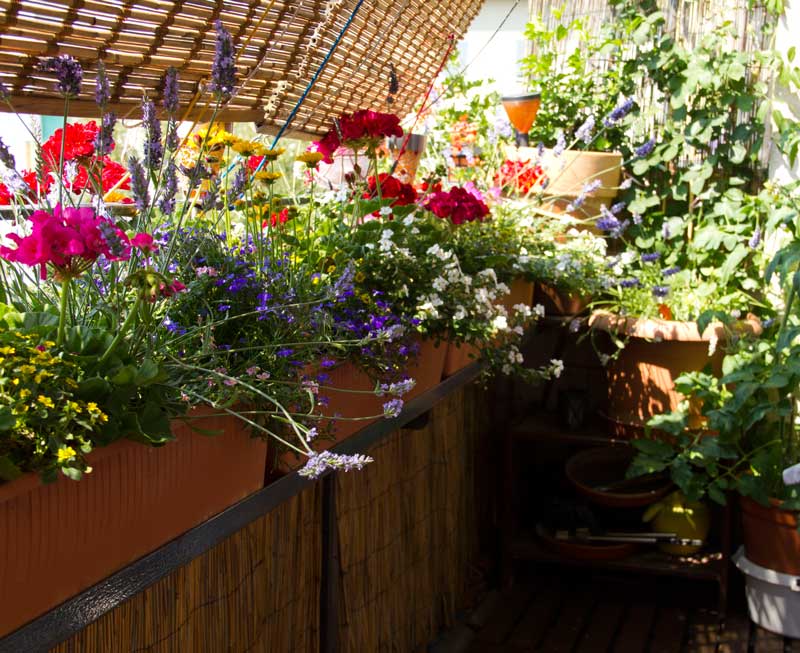 Klüver Gartenbau - Macht Gartenträume wahr!