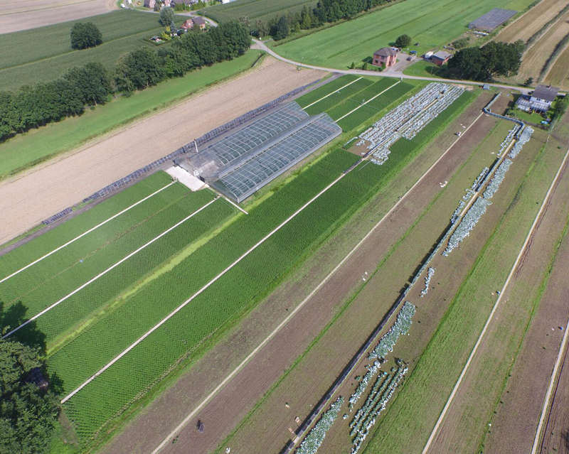 Klüver Gartenbau - Macht Gartenträume wahr!